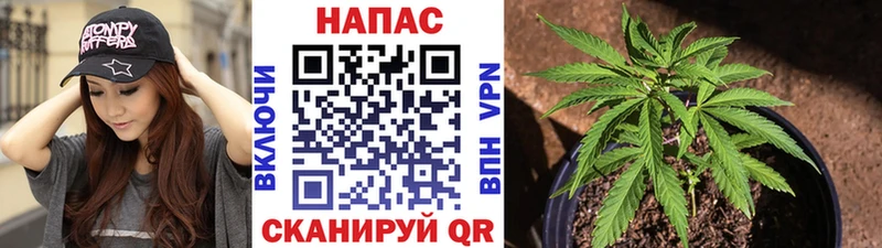 Шишки марихуана план  Нытва 